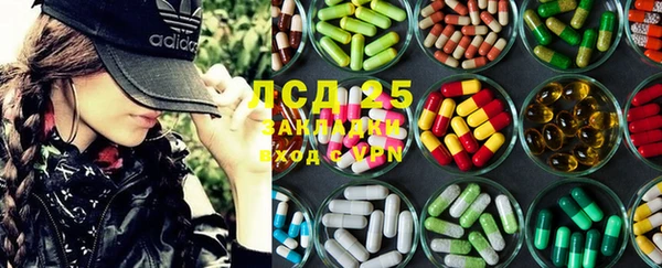 ПСИЛОЦИБИНОВЫЕ ГРИБЫ Алексин