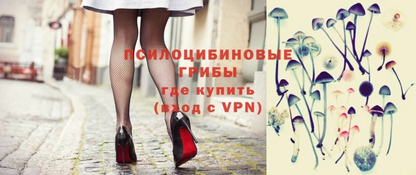 ПСИЛОЦИБИНОВЫЕ ГРИБЫ Алексин