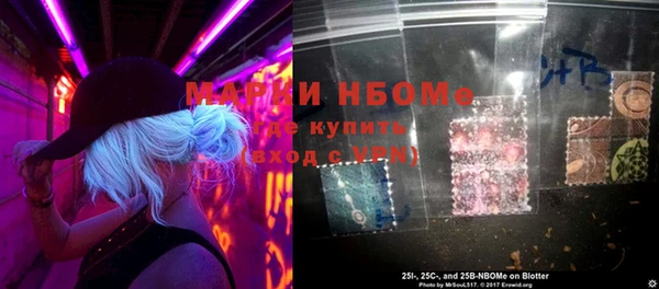 стаф Абинск