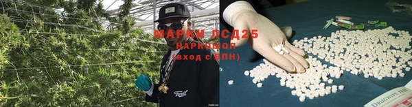 сатива Алзамай